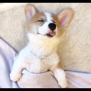 Meet your Posher, Irem